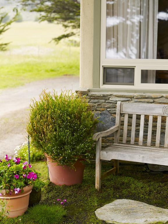 Moonstone Cottages Cambria Dış mekan fotoğraf