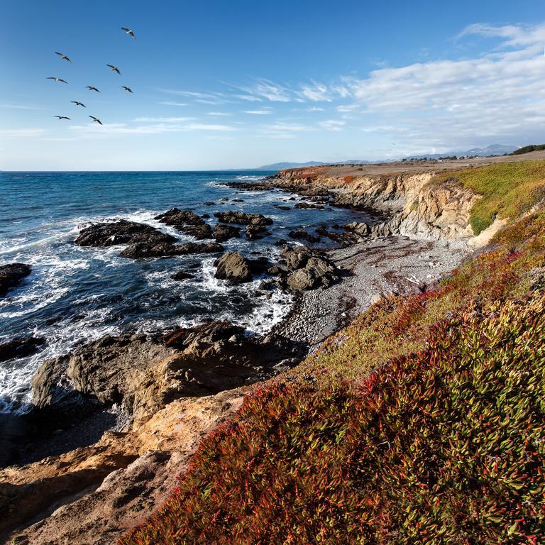 Moonstone Cottages Cambria Dış mekan fotoğraf